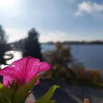 Zakatek Nad Jeziorem *