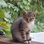 Rum i privatbostad Zakatek Nad Jeziorem
