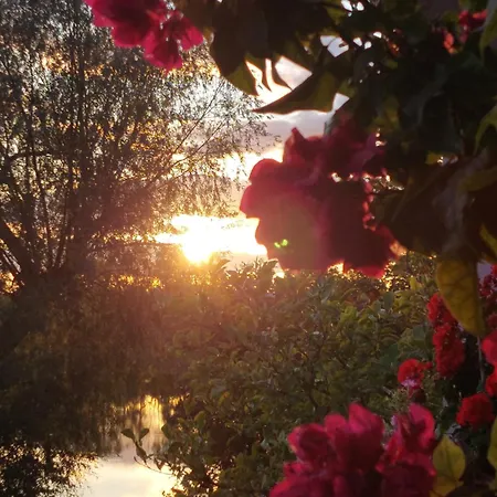 Zakatek Nad Jeziorem Ełk