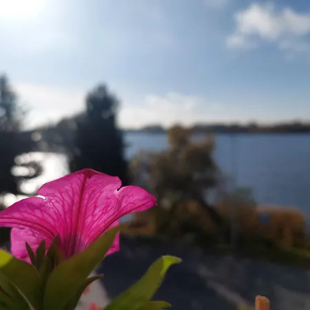 Zakatek Nad Jeziorem *