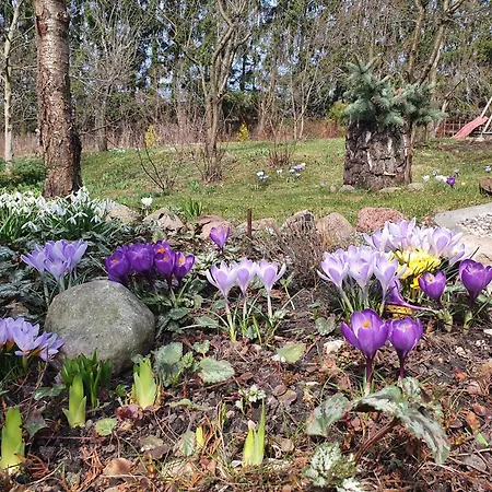 Zakatek Nad Jeziorem Проживание в семье Элк