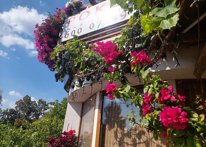 Zakątek Nad Jeziorem