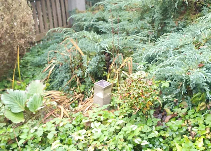 Zakątek Nad Jeziorem Ełk